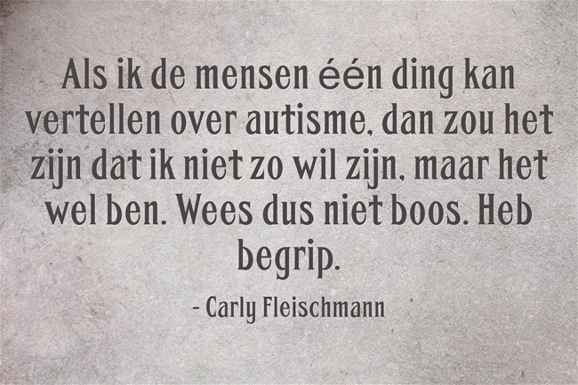 Carly Fleischamann liet haar vader, John Fleischmann, een boek schrijven met haar ideeën, getiteld, Carly's Voice. Ze hebben samen een website.