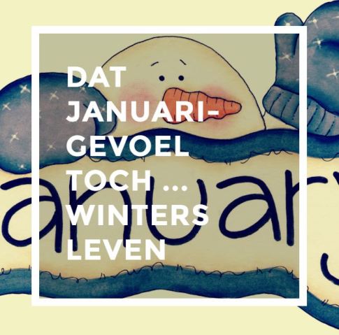 dat-januarigevoel-toch