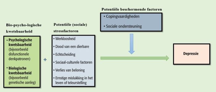 Biopsychosociaal verklaringsmodel voor de oorzaken van depressie
