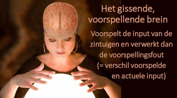 (c) Peter Vermeulen, uit de presentatie beschikbaar op de website van Autisme Centraal