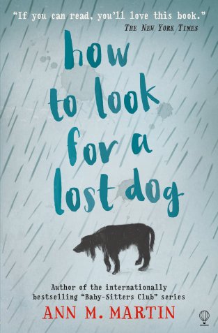 how-to-look-for-a-lotst-dog