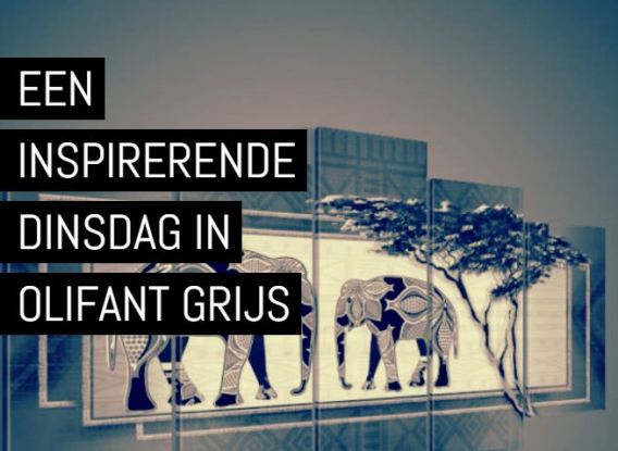dinsdag-olifant-grijs